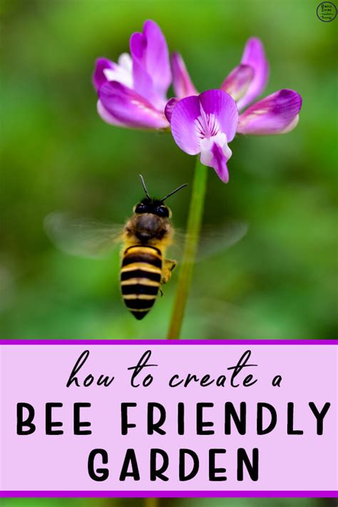 How to create a Bee-Friendly Garden - Simple Living. Creative Learning