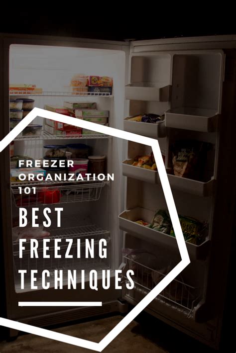 Freezer Storage 101: Freezing Techniques :: Southern Savers