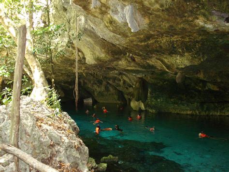 Snorkeling in a Cenote | Cozumel mexico, Snorkeling, Cozumel