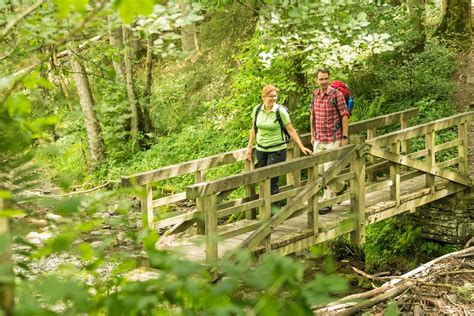 Auf eigene Faust | Nationalpark Eifel