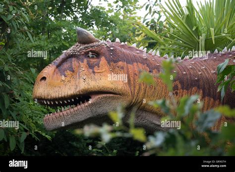 Carnotaurus dinosaur at chester zoo fotografías e imágenes de alta ...