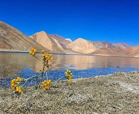 Ladakh Tour Packages | Get The Cheap Price Only 13,400 Rs