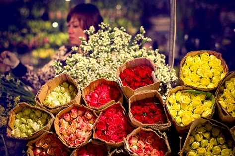 The cultivation of lovely, flowering plants in a floriculture nursery ...