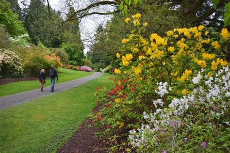 Washington Park Arboretum | University of Washington Botanic Gardens