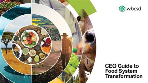 The Indonesia Business Council for Sustainable Development | CEO Guide to Food System ...