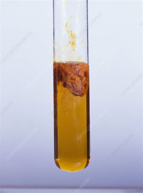 Iron (III) hydroxide precipitate - Stock Image - A500/0413 - Science Photo Library