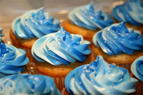 Blue Cupcakes ♥ - Cupcakes Photo (35382008) - Fanpop