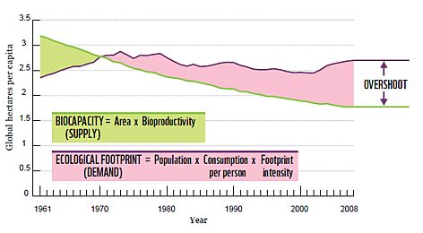 What does ecological overshoot mean? | WWF