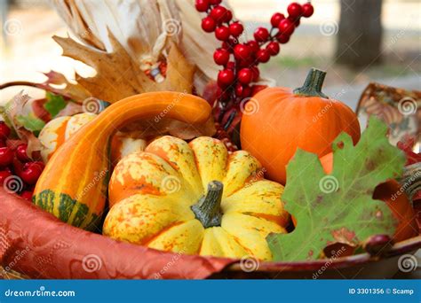 Thanksgiving Harvest Basket Stock Photo - Image of autumn, thanksgiving ...