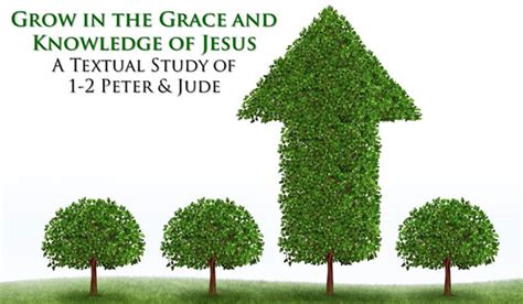 Grow in the Grace and Knowledge of Jesus – In God's Image