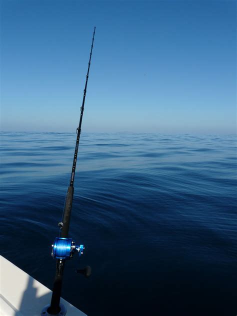 san quintin,weather,protests & fish. | Bloodydecks