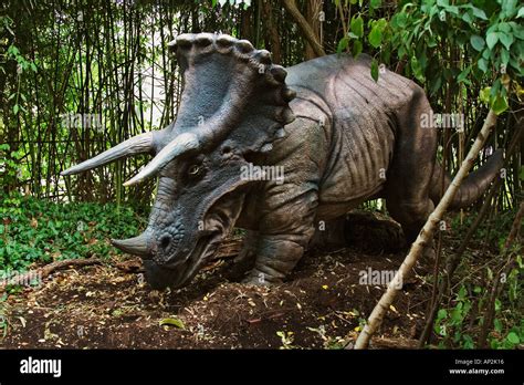 Triceratops which means three horned face dinosaur from the late Stock Photo: 5110549 - Alamy