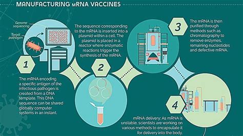 Vaccine Development | Technology Networks