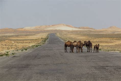 Visiting The Karakum Desert - Horizon Guides