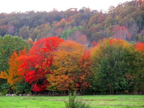 JOURNEYS OF JOY: Fall In Nova Scotia