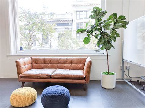 5 Proven Benefits of Plants in the Office — Plant Care Tips and More · La Résidence