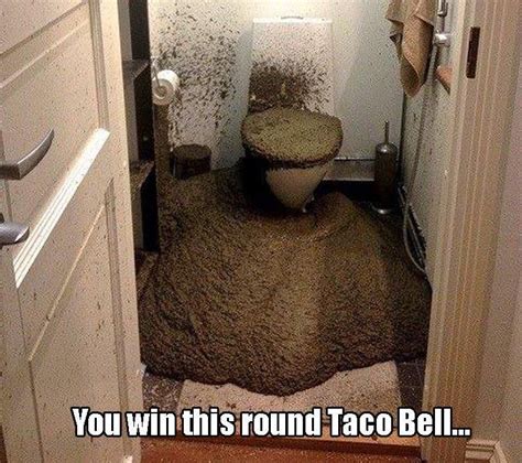 You Win This Round Taco Bell... Pictures, Photos, and Images for Facebook, Tumblr, Pinterest ...