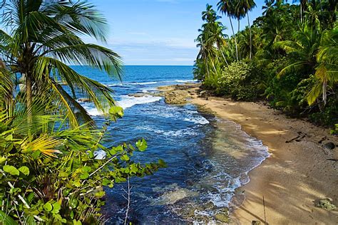 Manzanillo travel | Costa Rica, Central America - Lonely Planet