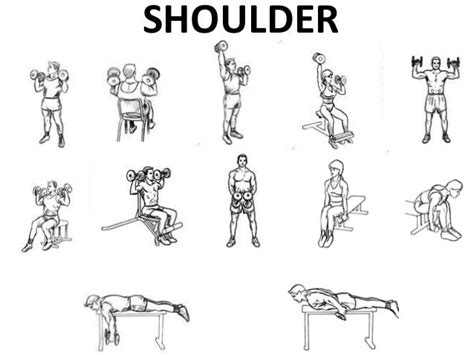 Shoulder Workout At Home Dumbbells | EOUA Blog