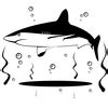 Shark Vector X | Free Images at Clker.com - vector clip art online, royalty free & public domain