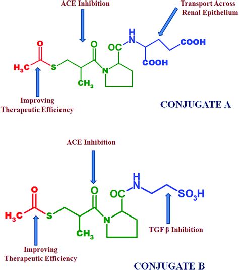 In silico design, synthesis, characterization and pharmacological ...