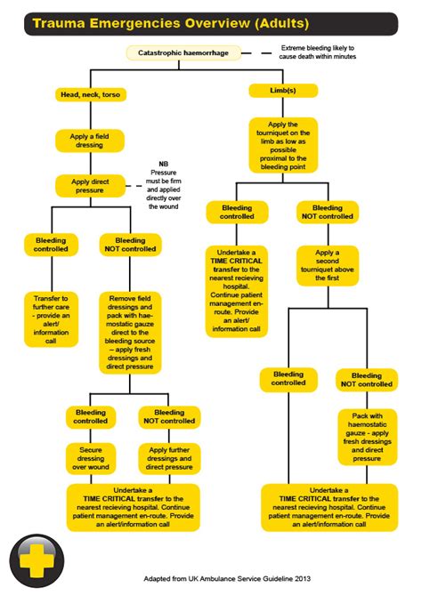 New protocol for catastrophic bleeding - Celox Medical