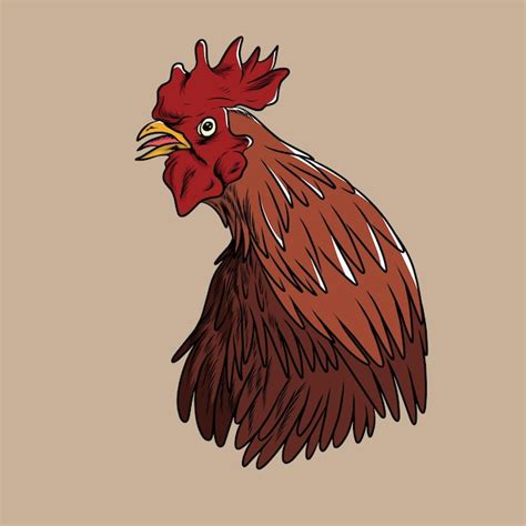 Premium Vector | Chicken face vector illustration