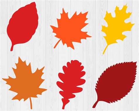 Fall Leaves Svg Bundle, Printable, Fall Svg, Thanksgiving Svg, Autumn ...