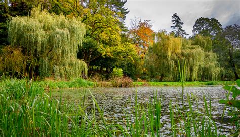 BODNANT GARDENS - MIKE SHIELDS PHOTOGRAPHY