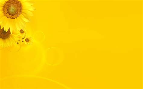 🔥 Download Yellow Daisy Frame Ppt Background For Your Powerpoint Templates by @christianyoung ...