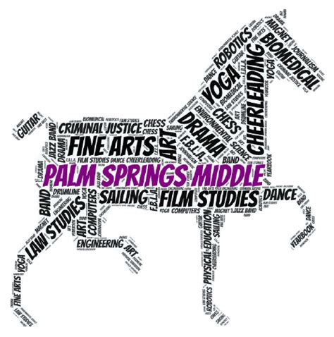 Academies Overview – Palm Springs Middle School