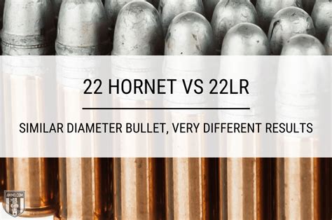 22 Hornet vs 22LR - Cartridge Comparison by Ammo.com