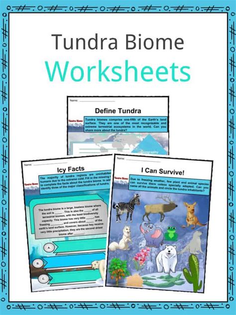 Tundra Biome Worksheets & Facts for Kids | Description & Ecology