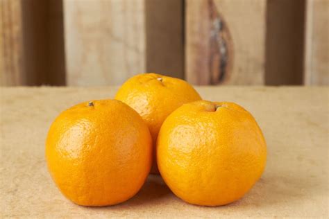 5 Types Of Mandarin Oranges For Chinese New Year