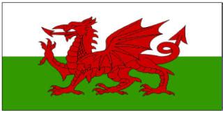 Wales Flag Printables