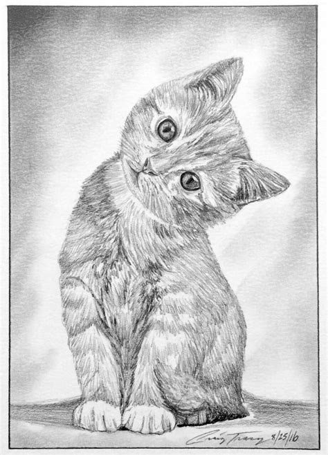 Sketch of a Kitten by Craig Tracy. in 2020 | Kitten drawing, Cat painting, Cat art