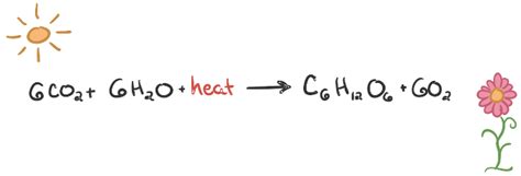 Smart Exothermic Reaction Word Equation Nat 5 Physics Course Specification