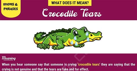 "Crocodile Tears" Meaning with Real Examples • 7ESL