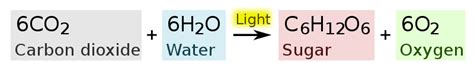 General formula chemosynthesis - bibliographysetup.x.fc2.com