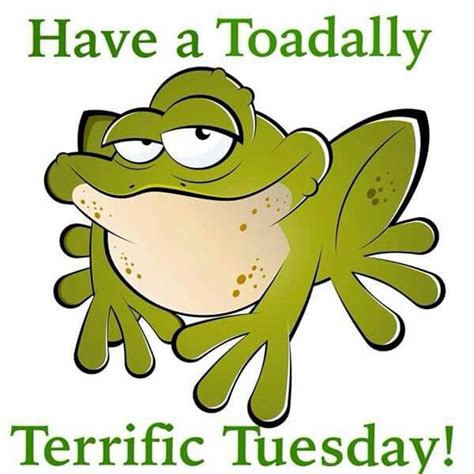 a green frog with the words have a toadly terriic tuesday