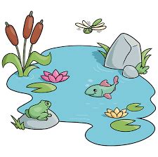 an image of a pond with fish and flowers