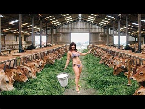 Farm #WithMe Pretty Girl Animal Rescue BABY CALF BORN Incredible Cow Milking Farming Hoof ...