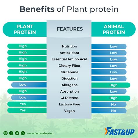 Why Plant Protein is Better than Animal Sourced protein - Fast&up