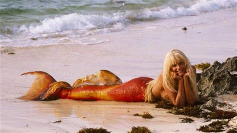 Mermaids don't exist, NOAA website notes | Fox News