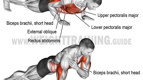 Bodybuilding Workout Routines: How to Train Better | Esercizi di allenamento, Allenamento ...