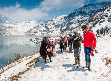 Bumchu Festival in Sikkim | Festival in Sikkim