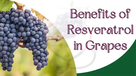 Benefits of Resveratrol in Grapes