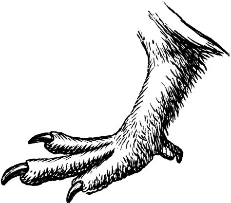 Eagle Claw Drawing at GetDrawings | Free download