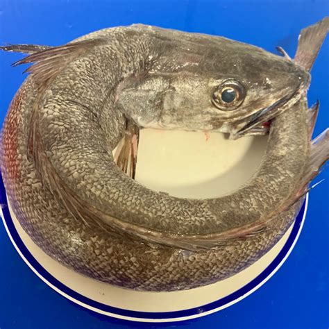 Whole Silver Hake | Eat More Fish | Nationwide Delivery