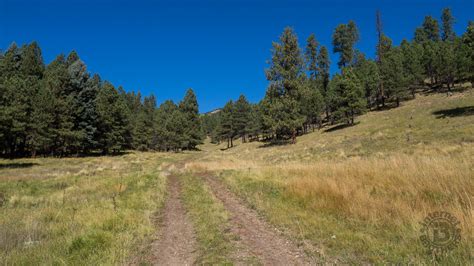 Meanderthals | Trail 12 at Valles Caldera National Preserve, New Mexico